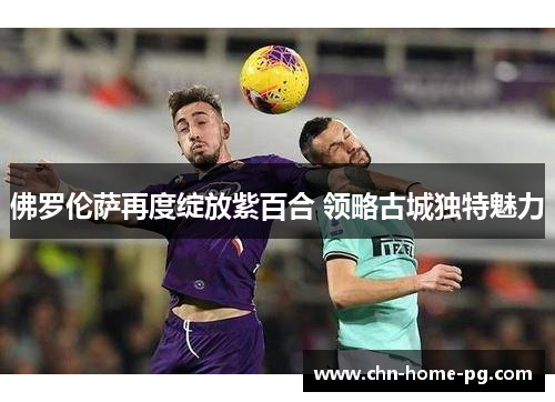 佛罗伦萨再度绽放紫百合 领略古城独特魅力