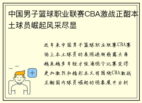 中国男子篮球职业联赛CBA激战正酣本土球员崛起风采尽显