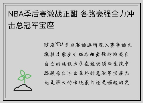 NBA季后赛激战正酣 各路豪强全力冲击总冠军宝座