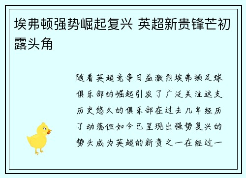 埃弗顿强势崛起复兴 英超新贵锋芒初露头角